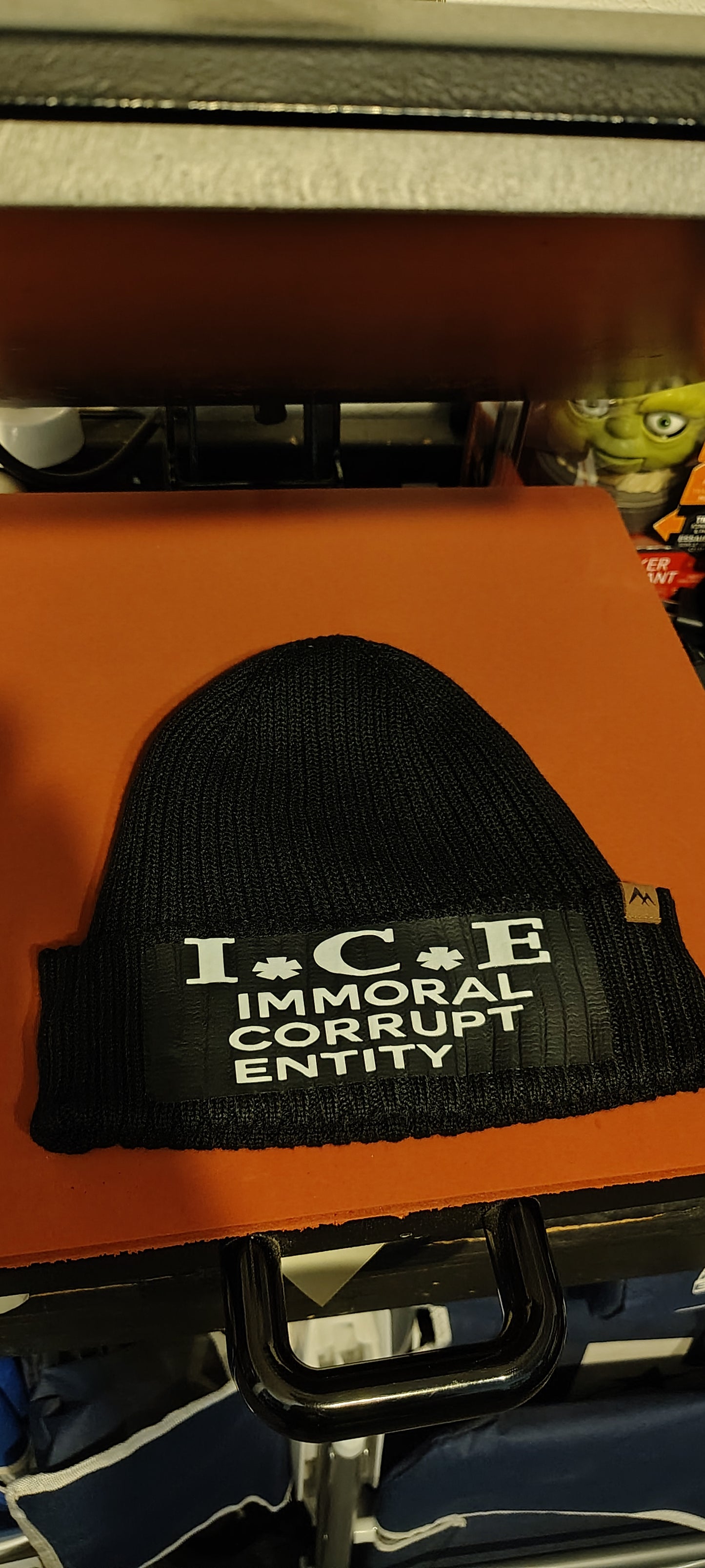 I*C*E Immoral Corrupt Entity