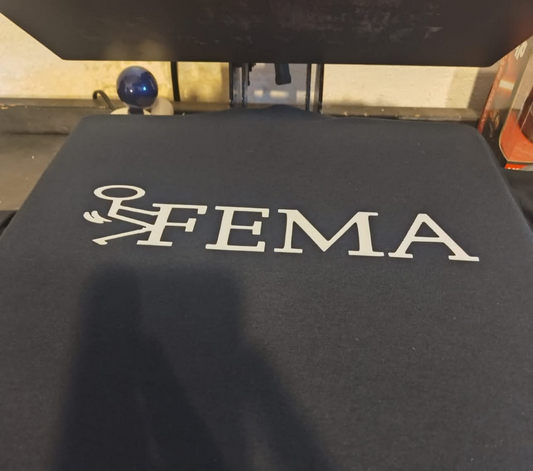 Funny F FEMA shirt