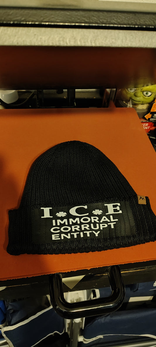 I*C*E Immoral Corrupt Entity